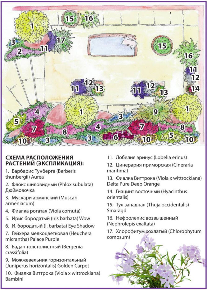 Схема расположения растений в саду