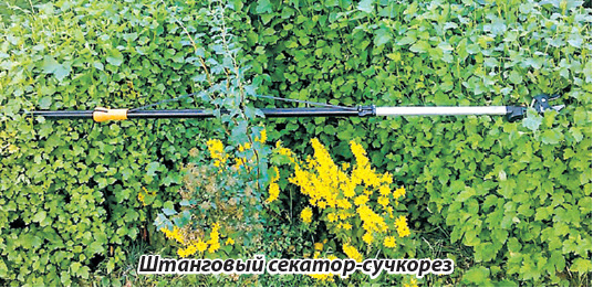 Штанговый секатор-сучкорез