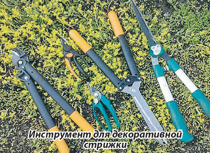 Инструмент для декоративной стрижки
